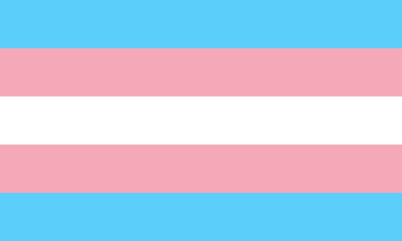 QueerEvents.ca - Queer Flags - Trans Flag Image