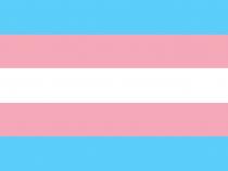 QueerEvents.ca - Queer Flags - Trans Flag Image